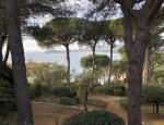 MASSON IMMOBILIER EXPERTISES ET DIAGNOSTICS Saint-Tropez