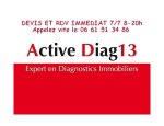 ACTIVE DIAG13 13100