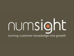NUMSIGHT INFORMATION SERVICES 59000