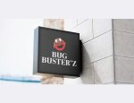 DIAG.IMMO-BZH / BUG BUSTER'Z Cléguer