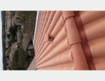 LES TOITURES AVIGNONNAISES 30400