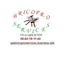 BRICOPRO SERVICES 45400