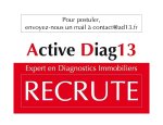 ACTIVE DIAG13 13012