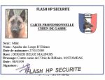 FLASH SECURITE Toulouse