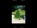 LES JARDINS D'OLIVIER 82160