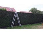 MC ESPACES VERTS PAYSAGISTE Peyrins